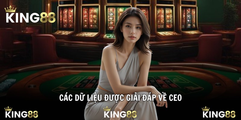 Các dữ liệu được giải đáp về CEO